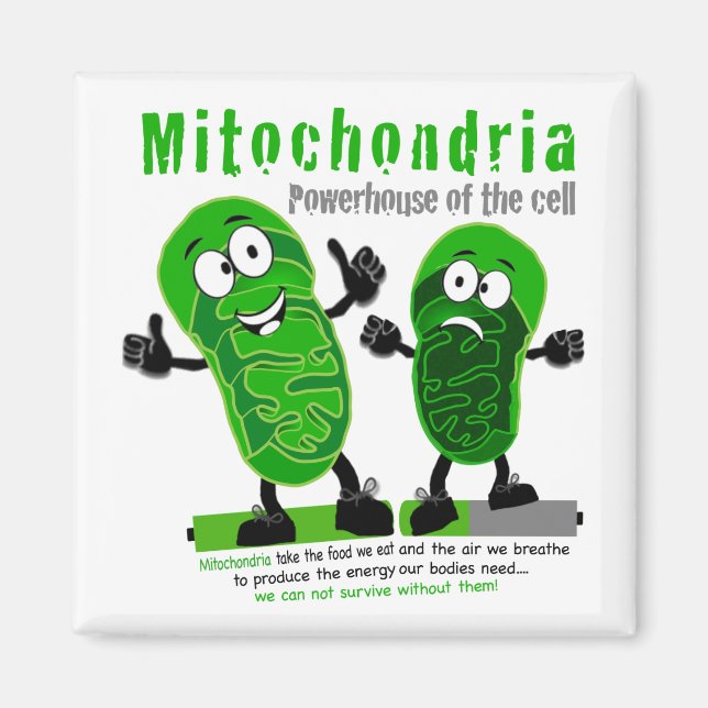 Cellens Mitochondria Powerhouse Magnet (Framsidan)