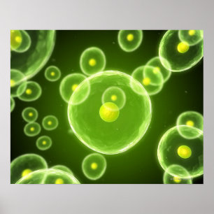Celler 2 poster