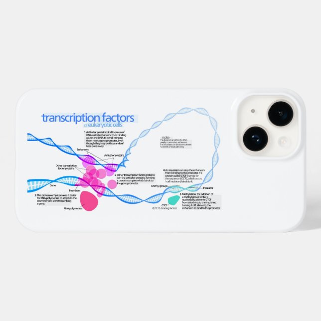 Celler Gen Transkriptionsfaktorer Diagram  (Baksida (horisontell))