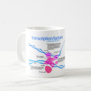 Celler Gen Transkriptionsfaktorer Diagram Kaffemugg