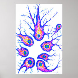 Cellerna från Sepiakartillagningen Poster