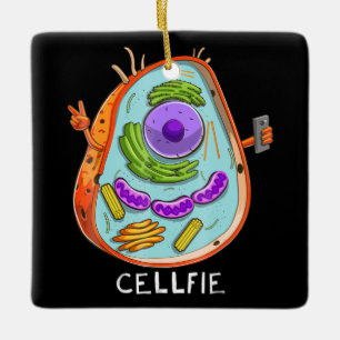 cellfibiologi, cellbiologi, lärare inom naturvete julgransprydnad keramik