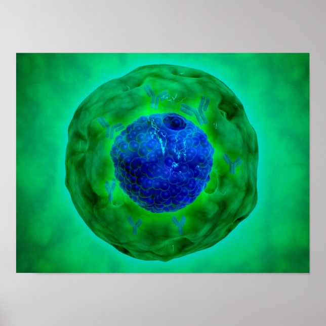 Cellkärnor med kromosom 1 poster (Framsidan)