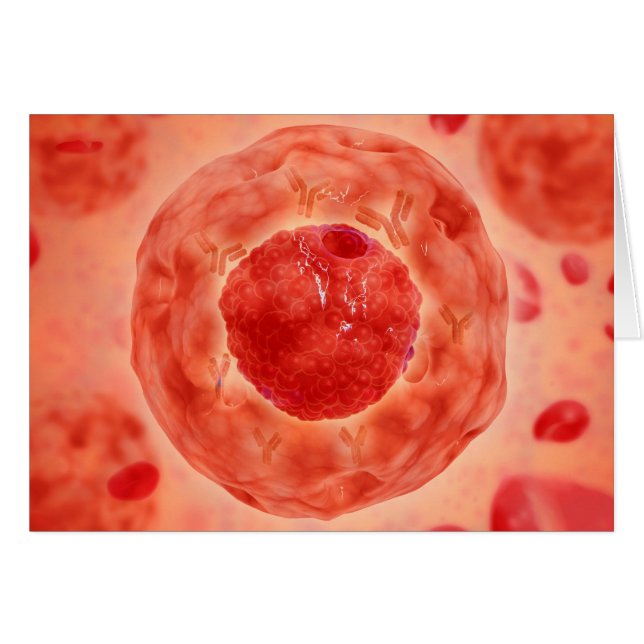 Cellkärnor med kromosom 2 hälsningskort (Framsidan Horizontal)