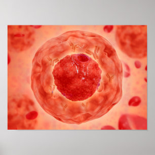 Cellkärnor med kromosom 2 poster