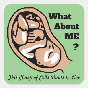Cellklump eller Baby PRO-Life Fyrkantigt Klistermärke