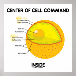 Cellkommando i nukleusbiologi poster