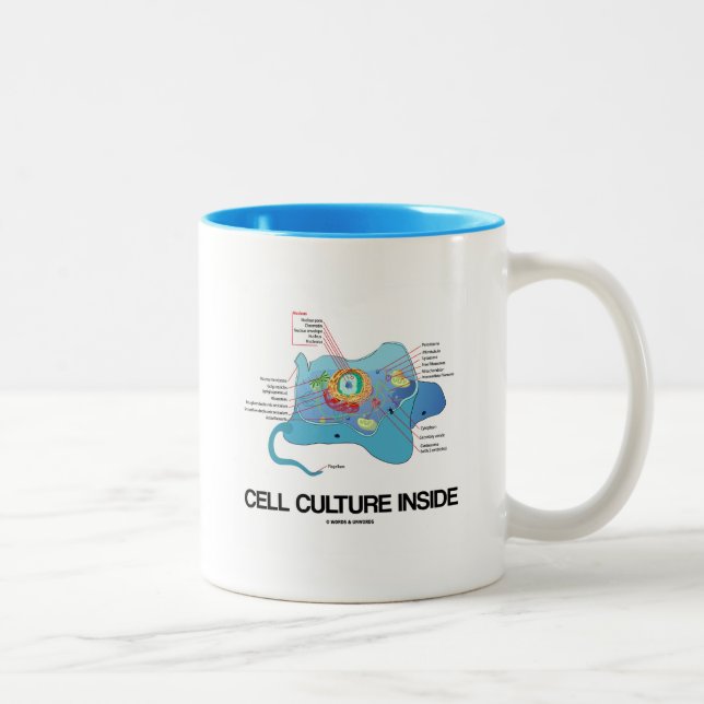 Cellkulturinsida (den Eukaryotic cellen) Två-Tonad Mugg (Höger)