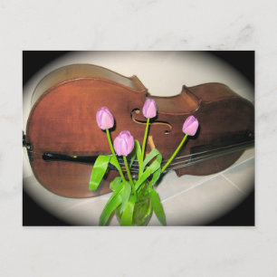 Cello med Tulips vykort