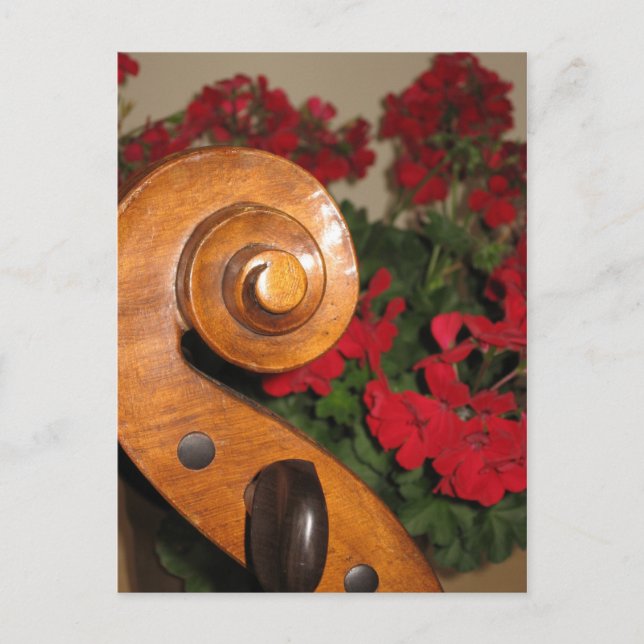 Cello Rulla Flowers vykort (Framsida)