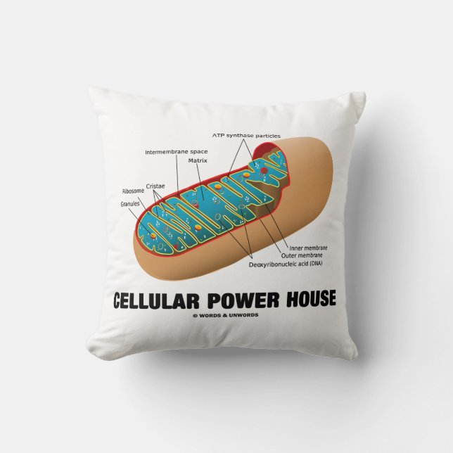 Cellular Power House Mitochondrion Kudde (Framsida)