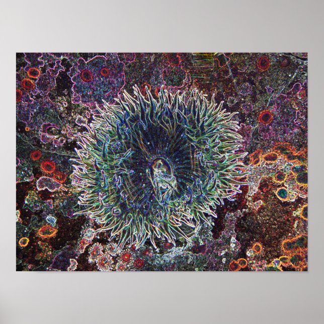 Cellular Ursprung Poster (Framsidan)