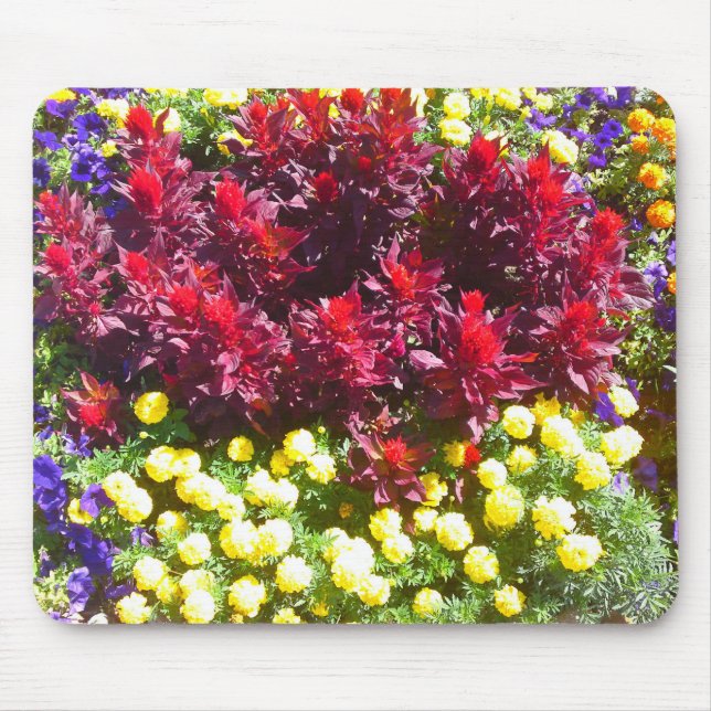 Celosia Marigold Petunia Flower Patch Mousepad Musmatta (Framsidan)