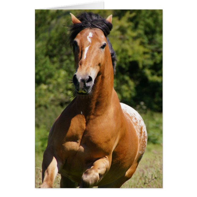 Celtic Flame Card Hälsningskort (Framsidan)