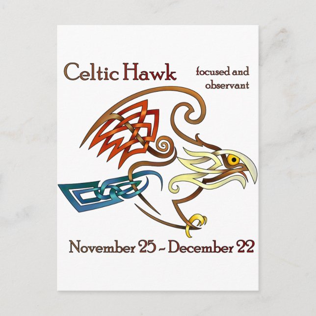 Celtic Hawk Vykort (Framsida)