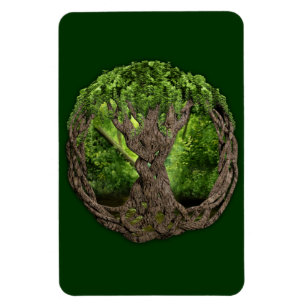 Celtic livets träd magnet