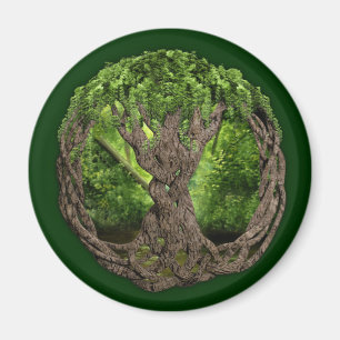 Celtic livets träd magnet