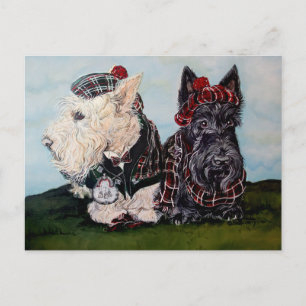 Celtic Scottish Terriers Vykort