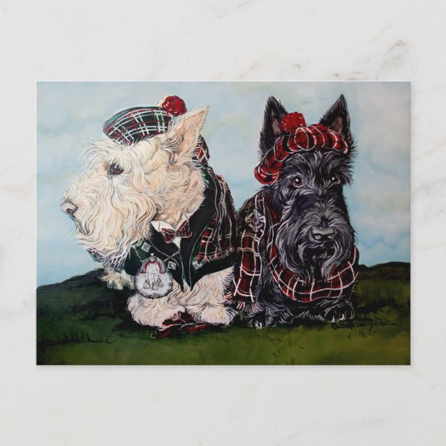 Celtic Scottish Terriers Vykort (Framsida)