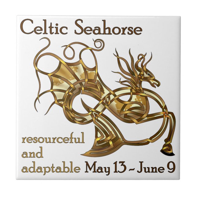 Celtic Seahorse Kakelplatta (Framsidan)