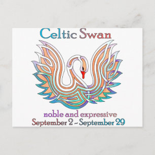 Celtic svan vykort