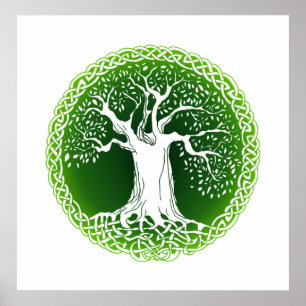 Celtic träd (grönt) poster