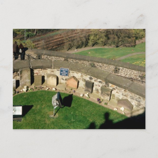 Cemété for Soldier Hundar - Skottland Vykort (Framsida)