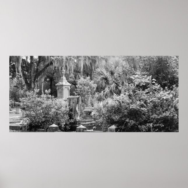 Cemetery, Savannah Ga, MD Fotography Poster (Framsidan)