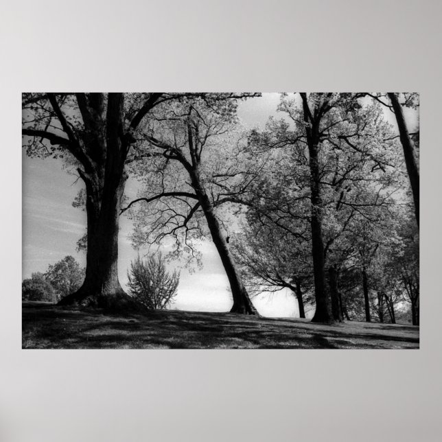 Cemscape Poster (Framsidan)