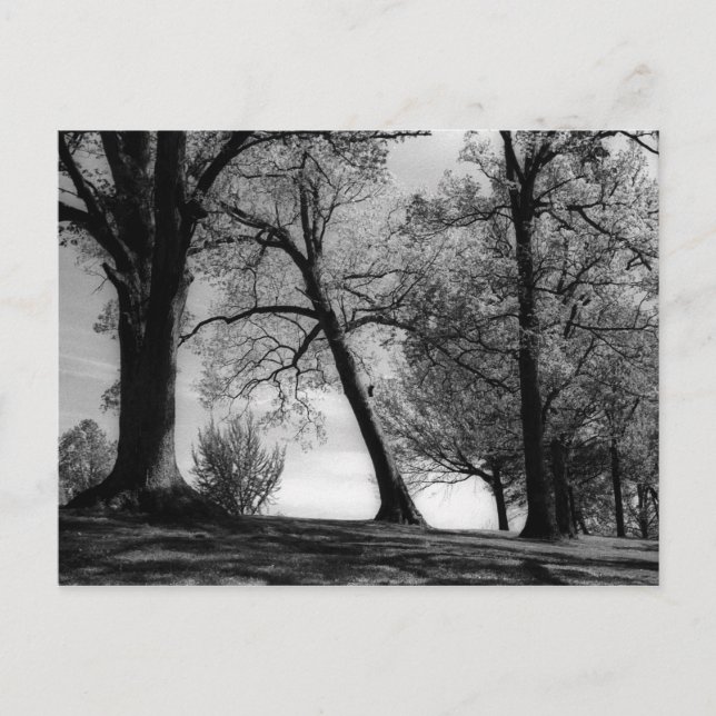 Cemscape Vykort (Framsida)