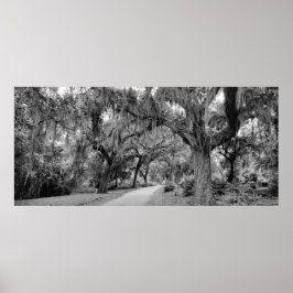 Cemtery, Savannah Ga, MD Photography Poster