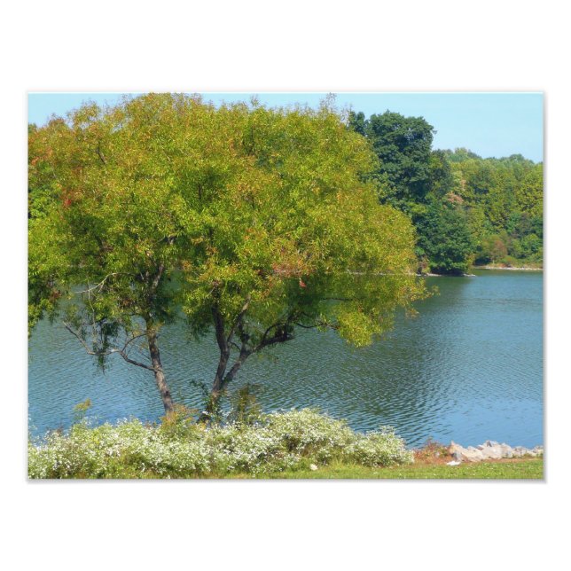 Centennial Sjö i Ellicott City Maryland Fototryck (Framsidan)