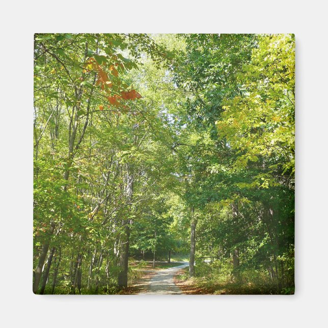 Centennial Wooded Path I Ellicott City Natur Magnet (Framsidan)