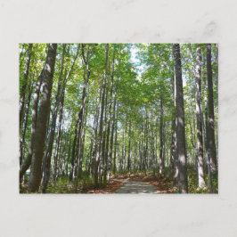 Centennial Wooded Path II Ellicott City Maryland Vykort