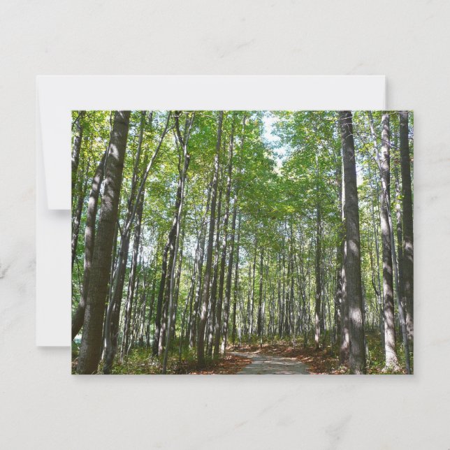 Centennial Wooded Väg II Ellicott City Maryland (Framsida)