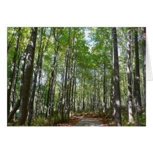 Centennial Wooded Väg II Ellicott City Maryland Hälsningskort