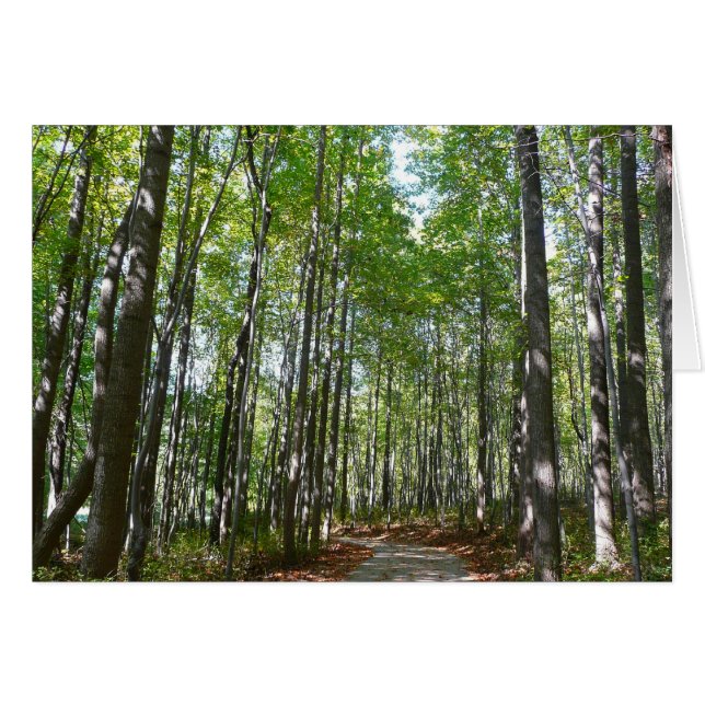 Centennial Wooded Väg II Ellicott City Maryland Hälsningskort (Framsidan Horizontal)