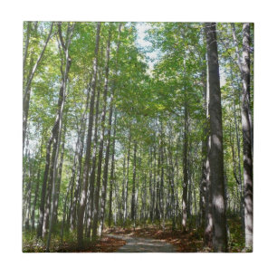 Centennial Wooded Väg II Ellicott City Maryland Kakelplatta