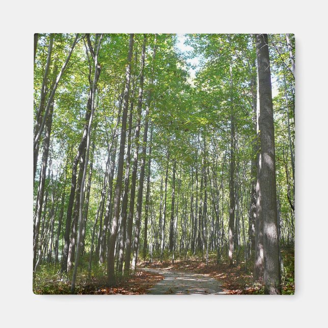 Centennial Wooded Väg II Ellicott City Maryland Magnet (Framsidan)