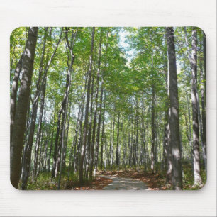 Centennial Wooded Väg II Ellicott City Maryland Musmatta