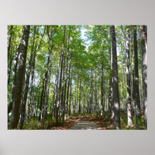 Centennial Wooded Väg II Ellicott City Maryland Poster