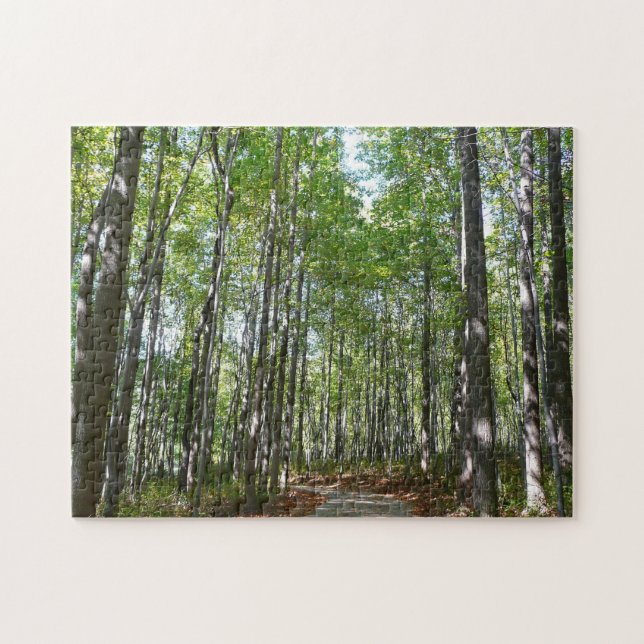 Centennial Wooded Väg II Ellicott City Maryland Pussel (Horisontell)