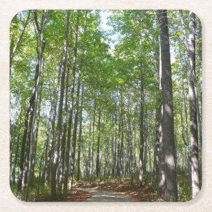 Centennial Wooded Väg II Ellicott City Maryland Underlägg Papper Kvadrat