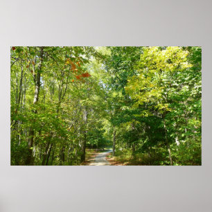 Centennieårsjö Väg I Ellicott City Nature Poster