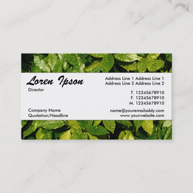 Center Band 037 - Spoted Laurel Visitkort (Framsida)