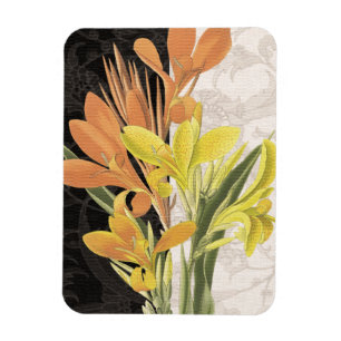 Centerstycke I Magnet