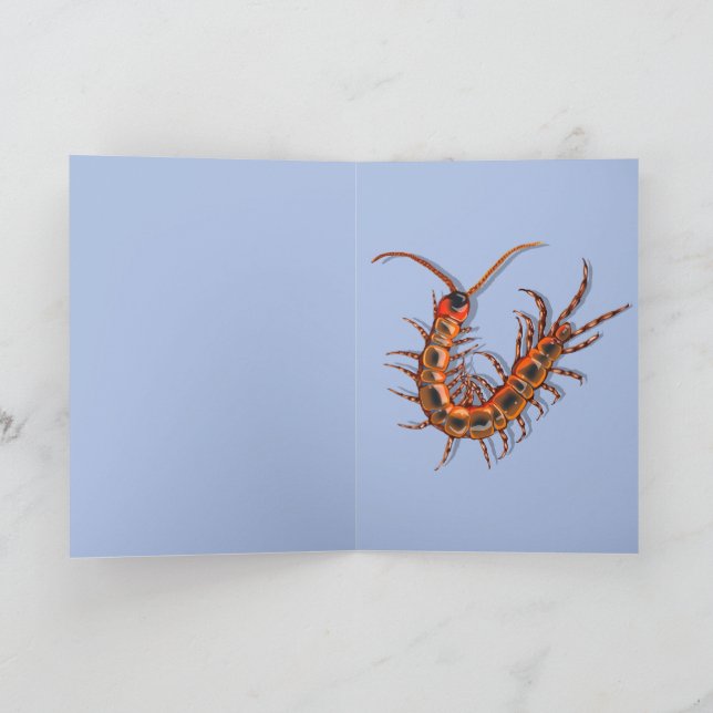 Centipede  kort (Inuti)