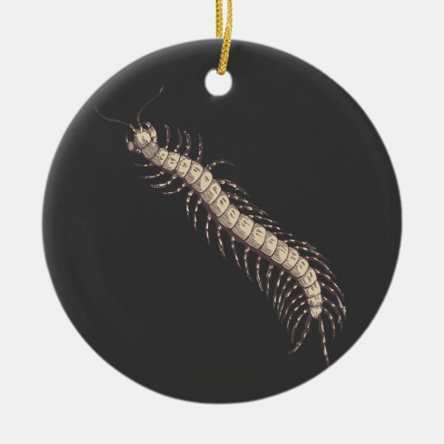 Centipede Ornament (Framsidan)
