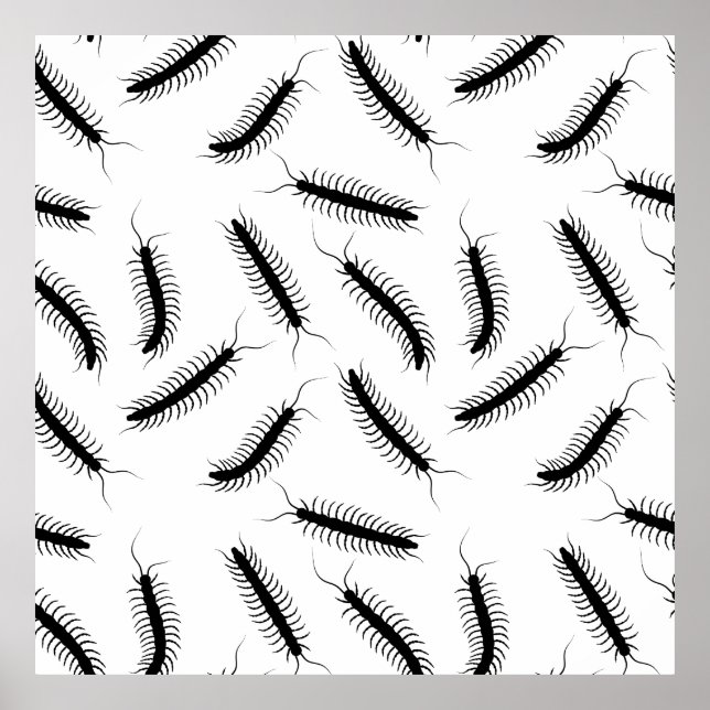 Centipedes Poster (Framsidan)
