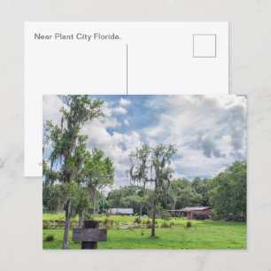 Central Florida Homestead Helg Vykort